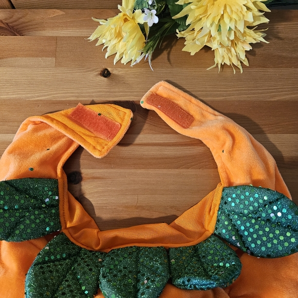 Thrills & Chills - Dog Pumpkin Halloween Costume - Size L - Picture 4 of 13